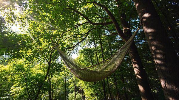 Les raisons pour lesquelles le hamac moustiquaire est essentiel pour le camping